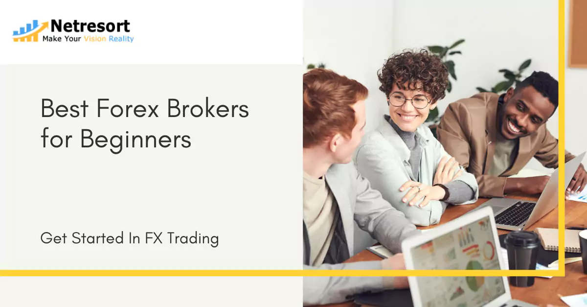 Best Forex Brokers for Beginners