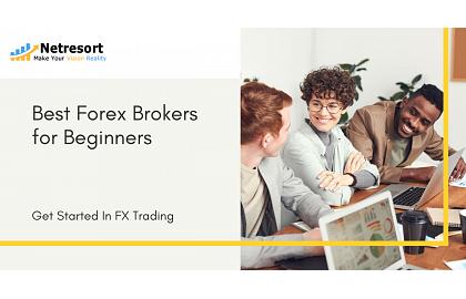 Best Forex Brokers for Beginners
