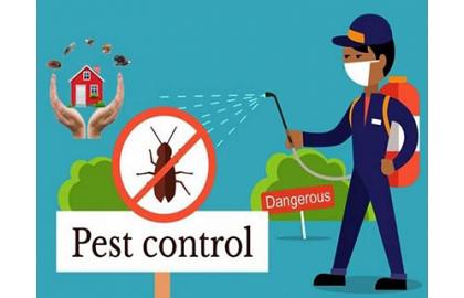 SEO for Pest Control and exterminators