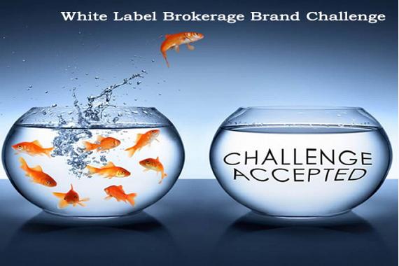 Starting Your Own Brokerage: Need to differentiate Your Brand