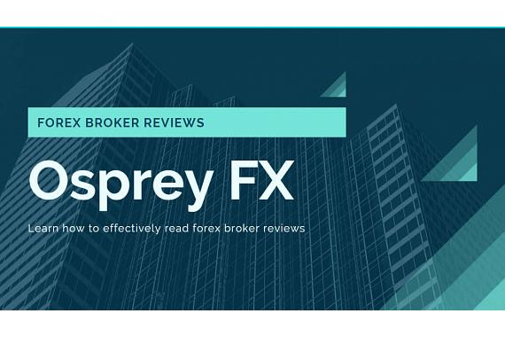 Learn how to effectively read forex broker reviews